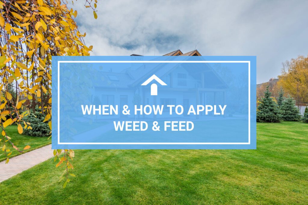 When & How To Apply Weed & Feed