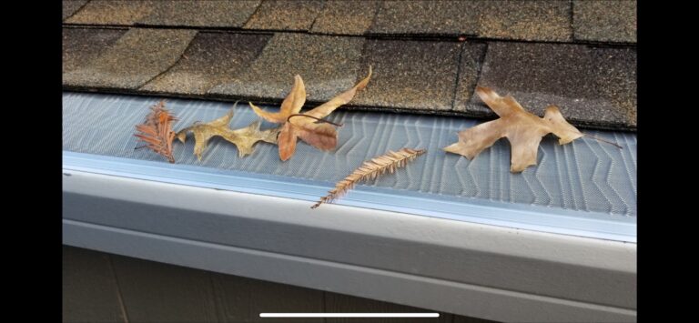 D35A3F3E BDB8 419E B50A 49C978CDF50E 768x355